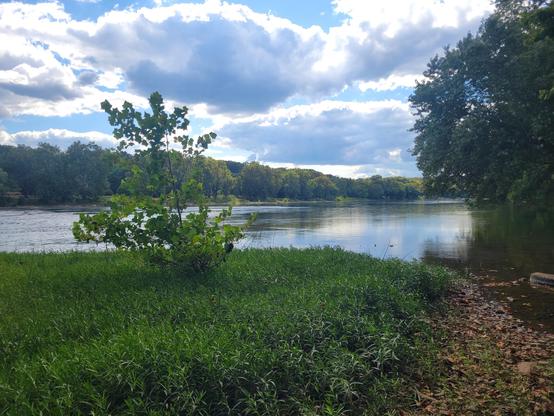 Green grass and trees in the foreground along the water's edge. The Potomac River flowing from right to left across the frame. Trees, sky and clouds in the distance, reflected in the river.