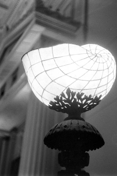 Black and white photo of a light sconce that is set atop a decorative mast. The sconce's shape is a blend of a conch type seashell and geometric wireframe rendering of a golden ratio expanding in and it unfurls. Some decorative columns are in the out of focus background.