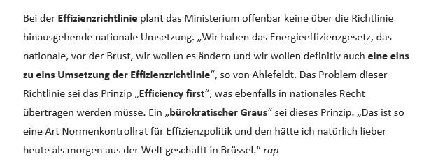 Screenshot eines Absatz des Background Tagesspiegel KlimaEnergie vom 4.9.25, in der BMWE-Abtl. Stephanie von Ahlefeldt ihre Vorstellung des Energieeffizienzgesetz kommentiert.