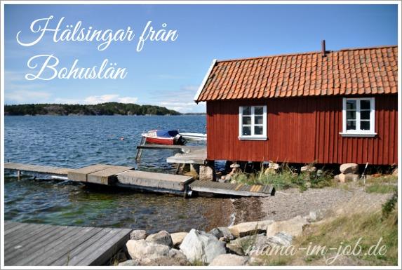 Mastodon hat meine lange Bildbeschreibung gefressen.