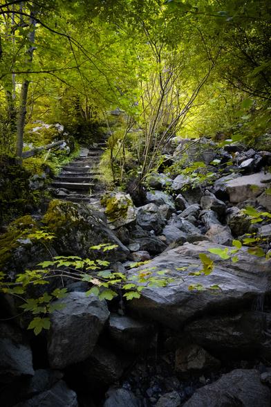 Ein verwachsener Pfad mit einer Steintreppe führt bergauf durch einen felsigen, dichten Wald neben einem ausgetrockneten Bachbett. Das grüne Laub der Bäume und Büsche lässt das Sonnenlicht teilweise durch.