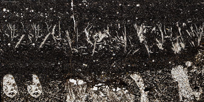 A microscope view of a rock in thin-section. The rock is moptly made of two minerals: dark brown-to black perovskite, and colourless clear calcite. The proportions of the two minerals show some layering/banding, and some layers have spiky crystals, or blobs of calcite.