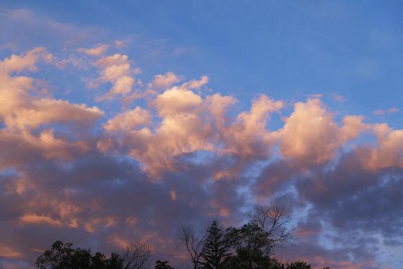 Sunrise sky with billowing peach-lit clouds against bright blue, above a silhouetted line of trees with a few bare branches.