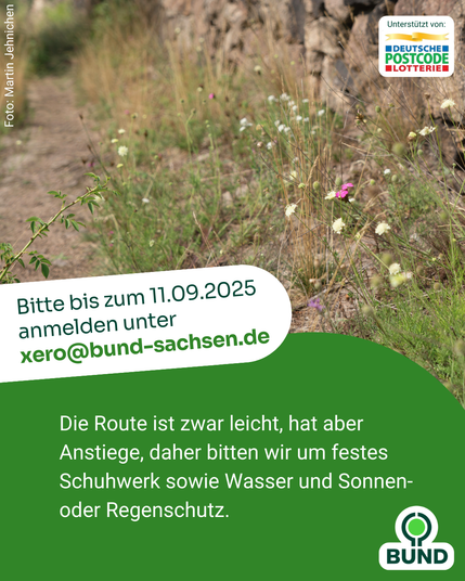 Ein schmaler, steiniger Weg mit Trockenmauer und blühenden Wildpflanzen. Daneben Text: „Bitte bis zum 11.09.2025 anmelden unter xero@bund-sachsen.de
“. Darunter im grünen Feld: „Die Route ist zwar leicht, hat aber Anstiege. Bitte festes Schuhwerk sowie Wasser und Sonnen- oder Regenschutz mitbringen.“
