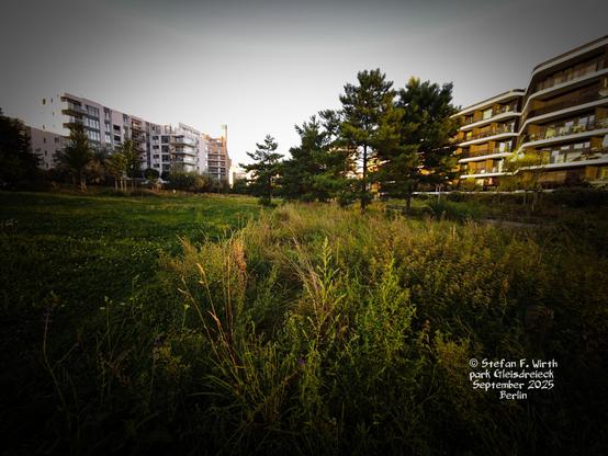 Berlin urban Park Gleisdreieck with meadows as urban green spaces located here close to the park beginning in district Kreuzberg with adjacent houses, September 2025, © Stefan F. Wirth
