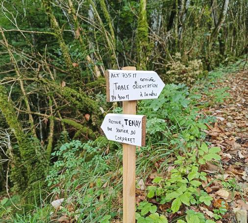 Photo numérique couleur en format paysage, avec 2 panneaux écrits à la main en noir sur fond blanc, qui sont cloués sur un poteau en bois clair de section carrée. Sur le panneau du haut qui pointe à droite droite : Alt 735 m - arrivée table orientation à 200 m - D+ 400 m. Sur celui du bas qui pointe à gauche : Retour à Tenay par sentier du Cordaret.
De part et d'autre, des arbres moussus, de la végétation et un sentier recouvert de feuilles mortes.