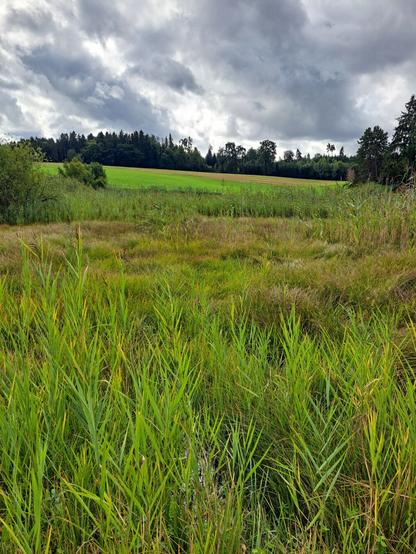 Wolkenhimmel über Moor