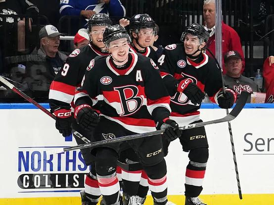 Ottawa Senators sign restricted free agent defenceman to one-year deal