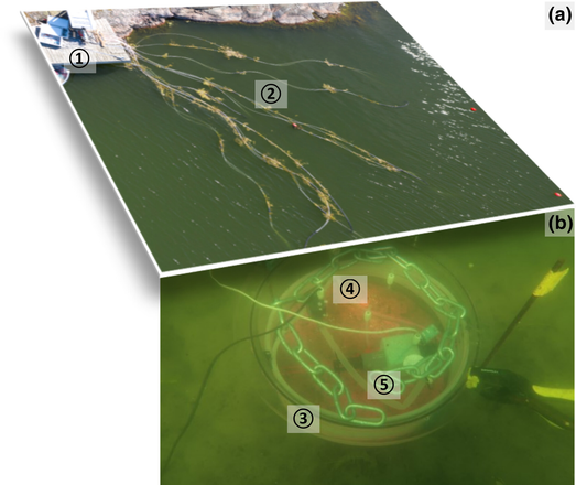 Overview of Hotfloor system from, the (a) surface (drone picture by, Alf Norkko) and (b) underwater at the seafloor. The temperature control unit, consisting of 10 thermostats and the electric heater, is placed on shore ①. The electric heater is connected to a closed water circuit distributing warmed water through about 40 m long tubing ② to the weighted benthic chambers placed on the seafloor (b). About 10 m of tubing are coiled inside the chamber walls ③ to ensure a gentle heat exchange with the surrounding water. The chamber lid is equipped with various ports for sampling, a circulatory pump with diffuser ④ and sensors ⑤.