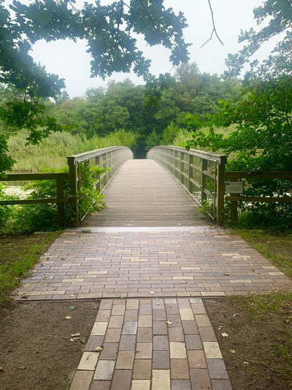 Der Blick aus dem Wald kommend auf eine Brücke, dahinter gehts zum Strand. Eine barrierefreier Fußweg im Grünen ohne Bebauung.