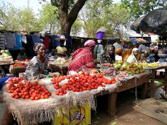 Women at an open market selling tomatoes, onions, mangoes, and other fruits and vegetables. They sit behind wooden tables under trees, wearing colorful clothes and smiling.