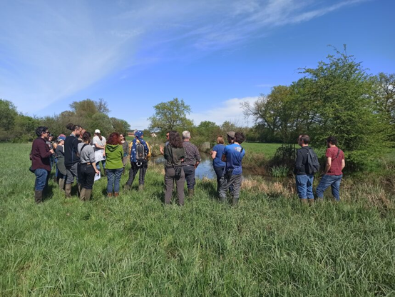 Groupe d'une quinzaine de personnes dans une prairie humide face à une mare. Quelques arbres et haies entourent le site.
