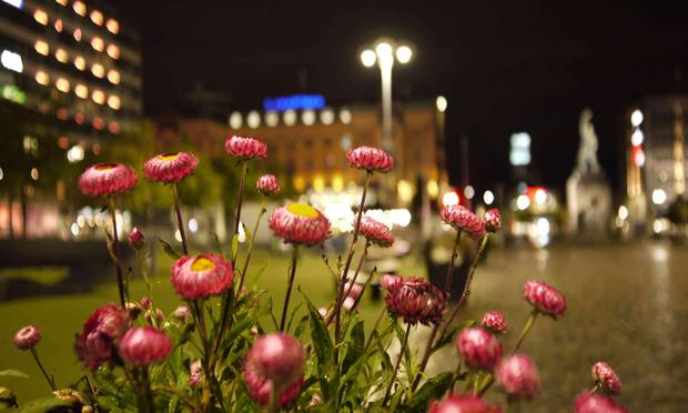 Lähikuva kukkaistutuksesta öisen torin laidalla. Linssin lyhyt polttoväli saa taustan sumeaksi mikä saa aikaan unenomaisia tunnelman.