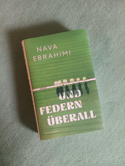 Foto des Buches, auf dessen Cover die Luftaufnahme eines grünen Feldes zu sehen ist; waagerecht mittig führt eine gerade Straße durch das Feld, an deren Rändern einige wenige weiß blühende Bäume stehen, ein kleines rotes Auto fährt darauf entlang. Das Buch liegt auf grünem Teppichboden.