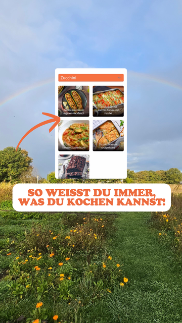 Eine Collage mit vier Zucchini-Rezepten vor einer Landschaft mit Wiese, Blumen und einem Regenbogen im Hintergrund. Die Rezepte sind:

1. **Gefüllte Zucchini mit veganem Hackfleisch**
2. **Gemüsegratin mit Zucchini, Tomate und Fenchel**
3. **Tomaten-Zucchini-Curry**
4. **Zucchini-Gratin mit Knusperkruste**

Im Vordergrund steht in großen, orangefarbenen Buchstaben: **SO WEISST DU IMMER, WAS DU KOCHEN KANNST!** Die Szene wirkt inspirierend und einladend, um direkt mit dem Kochen zu beginnen.