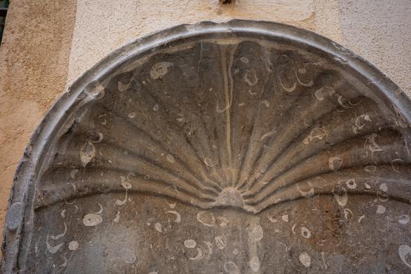 Closeup of the scallop carving showing dozens of white bivalve shells embedded in the stone.