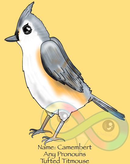 Background is pale yellow. The new bird character has a slate gray upper body, wings, and tail. Their lower body like their tummy is white. They have some caramel brown between the white and gray. Feet are light gray. Beak is blue gray. They're fluffy, especially their head feathers sticking straight up. Their eyes are black and beady.
Black text: Name: Camembert. Any Pronouns. Tufted Titmouse. There is a watermark of the Actually Owltistic logo, which is a rainbow infinity sign with a black and brown eye in each of the two centers. Under the eyes in pastel brown text reads "Actually" and "Owltistic".