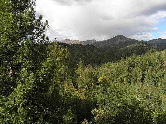 Hills and mountains covered with trees. The sky is mostly cloudy, but some sunlight broke through to illuminate the nearby mountainsides. Napa, California.