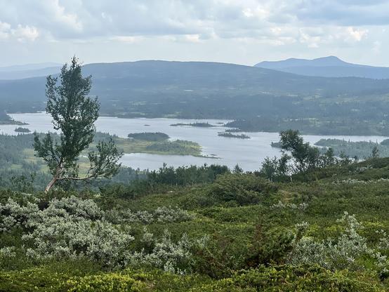 View of a rather large lake with many bays and little islands. Lush vegetation.