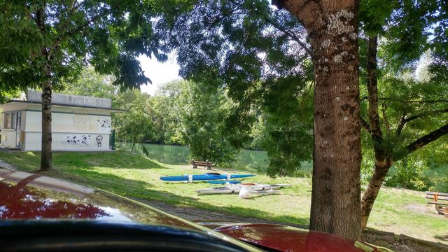 Vu depuis l'ombre d'un arbre dont on voit le tronc à droite, une pelouse ensoleillée qui n'est autre que la rive de la Charente que l'on voit derrière avec ses eaux vertes et profondes. Derrière, des arbres. Tout est vert et très ensoleillé.