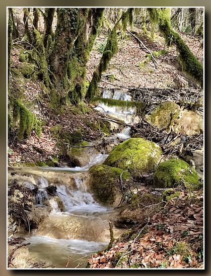 Dans un petit bois un étroit ruisseau saute de pierre en pierre et serpente entre des arbres et des pierres moussues. Son abord est couvert de feuilles mortes