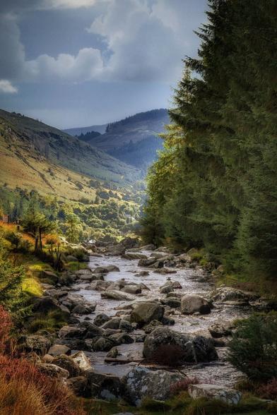 A vertical, eye-level shot of a rocky riverbed flowing through a valley. On the right, a dense pine forest climbs up the side of a mountain, its dark green needles contrasting with the brighter, sunlit foliage on the left. The sun, partially obscured by clouds, casts a brilliant light over the distant mountains and illuminates the sparkling water of the river as it flows over numerous grey boulders.