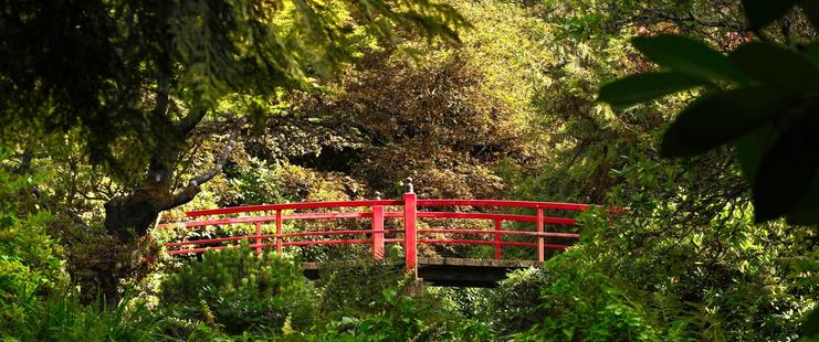 A bright red footbridge entirely surrounded by trees and bushes.