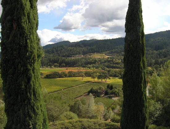 Two tall cypress trees frame the view of vineyards, forests and the Napa countryside. There are spotty clouds against a pale blue sky. 

Sterling Vineyard in Napa country, California.