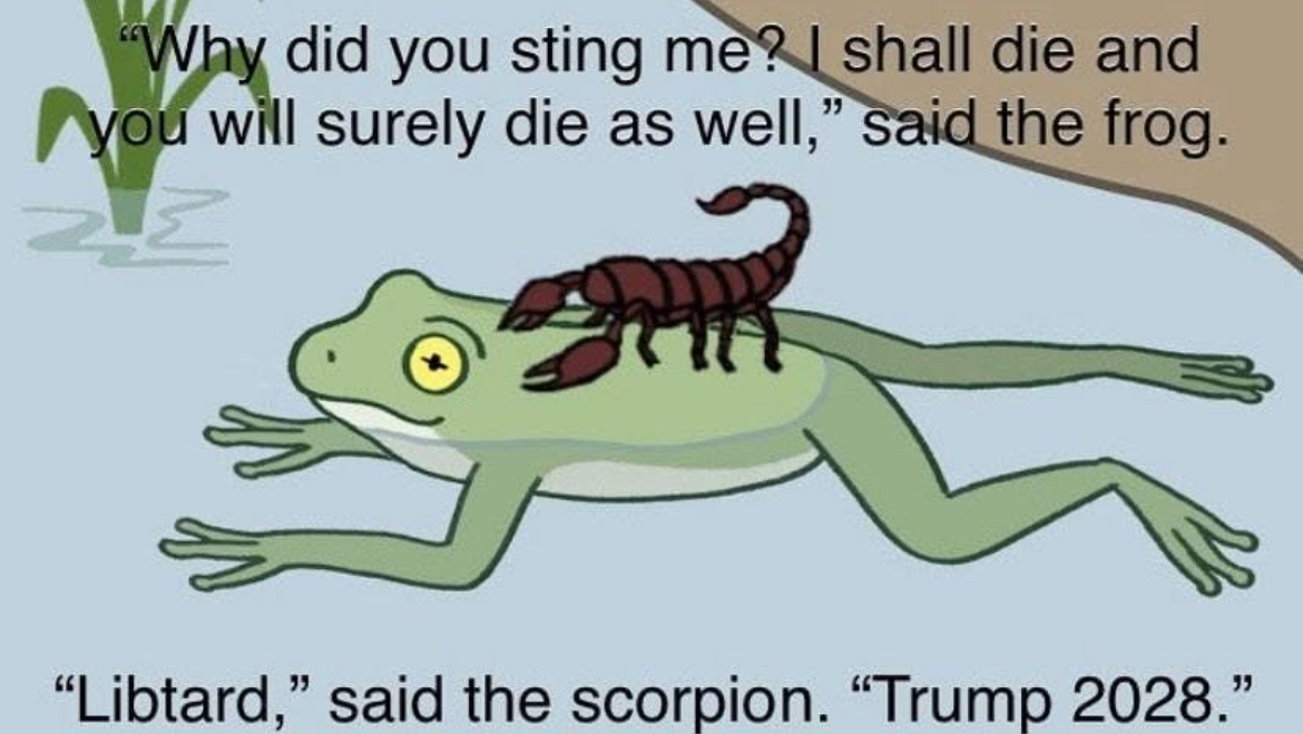 A photo of a frog with a scorpion on its back the frog says quote why did you sting me I shall die and you will surely die as well. The Scorpion replies trump 2028!