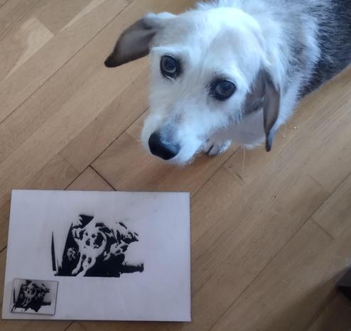 Foto de un perrito mirando a cámara y se ve en el suelo dos maderas con la misma foto grabada en láser, una bastante más grande que la otra. Es una fotoMoncho de cuando estaba envuelto en mantitas.