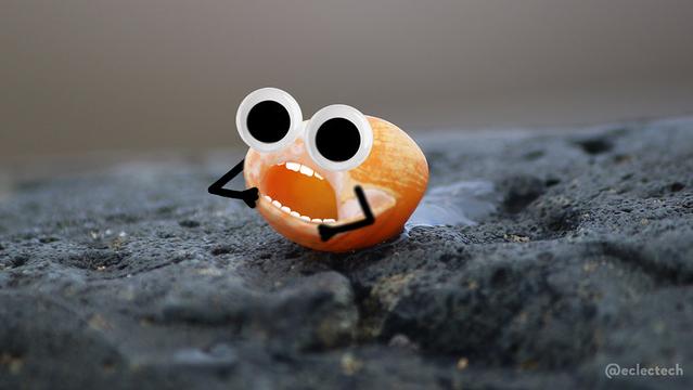 A photo of a small bright orange spiral shell, the opening facing the camera, sitting on a dark grey rock. I have added arms, bent up towards the opening, which now has teeth and large googly eyes above.