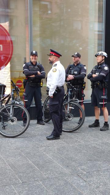 Lookit that! It's Izzy Fascist Fuckface Bernardo, sporting a new rank. Oooo, gold stars.

I wonder if he's still at 14 Division, problematic shithole that it is.