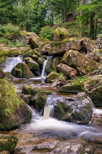 Das Bild zeigt eine naturbelassene Szenerie in einem Wald, in deren Mittelpunkt ein kleiner Bach fließt. Das Wasser stürzt über mehrere moosbedeckte Felsen hinab und bildet dabei kleine Kaskaden. Die Langzeitbelichtung lässt das Wasser weich und milchig erscheinen, was einen dynamischen Effekt erzeugt.
​Die Umgebung ist dicht bewaldet mit Laubbäumen und Nadelbäumen. Die Felsen sind groß und unregelmäßig geformt und ebenfalls mit sattgrünem Moos und vereinzeltem Gras bewachsen. Die Lichtstimmung ist gedämpft, was auf einen bewölkten Tag oder eine schattige Waldpartie hindeutet. Die Farben sind dominierend Grün- und Brauntöne, was die natürliche Umgebung betont. Die gesamte Komposition strahlt Ruhe und Gelassenheit aus.