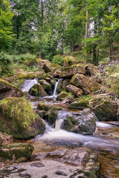 Das Bild zeigt eine naturbelassene Szenerie in einem Wald, in deren Mittelpunkt ein kleiner Bach fließt. Das Wasser stürzt über mehrere moosbedeckte Felsen hinab und bildet dabei kleine Kaskaden. Die Langzeitbelichtung lässt das Wasser weich und milchig erscheinen, was einen dynamischen Effekt erzeugt.
​Die Umgebung ist dicht bewaldet mit Laubbäumen und Nadelbäumen. Die Felsen sind groß und unregelmäßig geformt und ebenfalls mit sattgrünem Moos und vereinzeltem Gras bewachsen. Die Lichtstimmung ist gedämpft, was auf einen bewölkten Tag oder eine schattige Waldpartie hindeutet. Die Farben sind dominierend Grün- und Brauntöne, was die natürliche Umgebung betont. Die gesamte Komposition strahlt Ruhe und Gelassenheit aus.