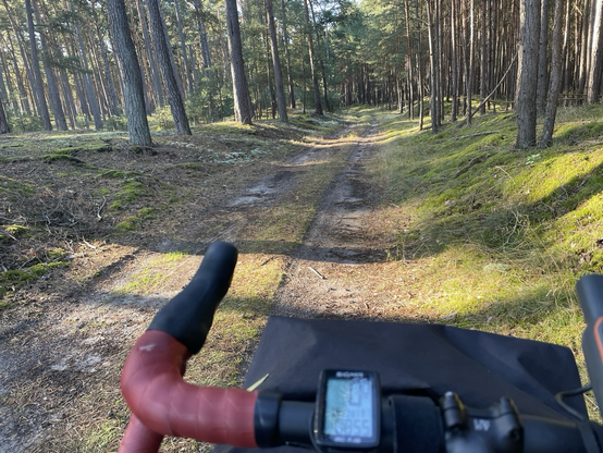 Ein Sandweg führt durch einen lichten Wald. Ein Rennlenker ragt von unten ins Bild.