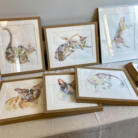 A close-up of six framed cat watercolour paintings framed in wooden frames behind glass. The paintings are leaning against a wall and on a table.
