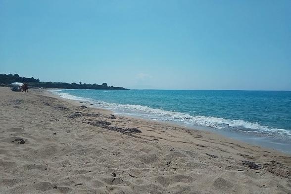 The image depicts a serene beach scene with a clear blue sky and calm ocean waters. In the foreground, there is a sandy beach with gentle waves lapping at the shore. The sand appears light brown with some darker patches, possibly seaweed or debris. In the background, a few people can be seen near a white umbrella, suggesting a leisurely atmosphere. The ocean is a vibrant blue, transitioning to a lighter shade near the shore. The horizon is visible, where the sky meets the sea, and a distant landmass is faintly visible on the left side of the image. The overall scene conveys a peaceful and inviting beach environment.