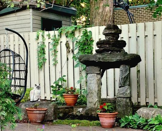Un chat dans une cour intérieure. Il ne bouge pas. Autour de lui, tout est beau. Des pierres savamment posées. Il est lui-même sur une pierre. Des pots de grès, des fleurs. Une grande clôture en bois. Des lierres qui pendent. Tout ça forme un tableau. Un peintre aurait pu s'arrêter là.
© 2025, Chartrand Saint-Louis, photographie