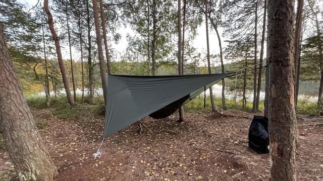 Vihreä riippumatto saman värisen tarpin alla mäntymetsässä pienen lammen rannassa