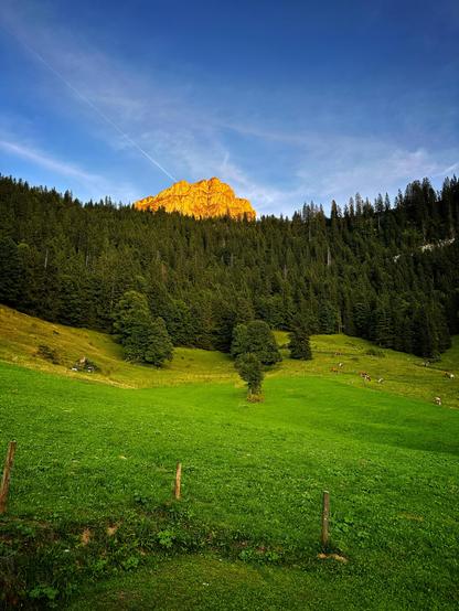 Blick auf die Hinterburg im Abendrot