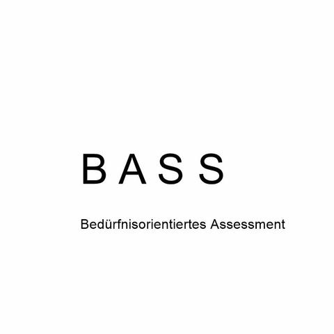 Bild zeigt Textfeld mit schwarzer Schrift auf weißem Hintergrund und Text: BASS Bedürfnisorientiertes Assessment.