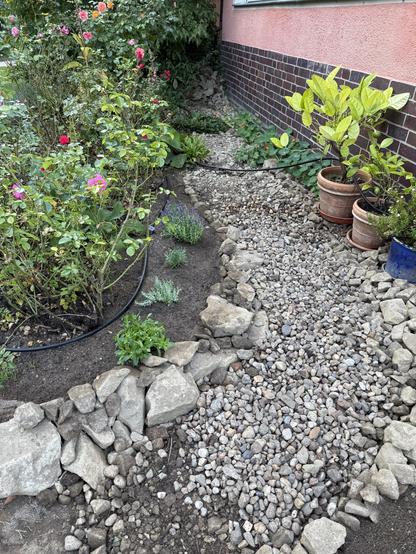 Neuer kleiner Weg aus kleinen Steinen hinter das Rosenbeet