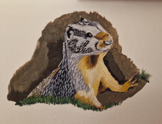 A prairie dog peeking out of a burrow, in gouache paint.