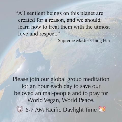 Photo of Earth from space