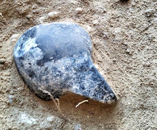 Un oggetto di pietra di forma irregolare trovato nel terreno durante gli scavi della necropoli etrusca dei Monterozzi di Tarquinia.