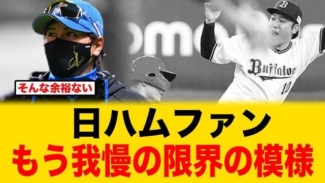 日ハムファンもう限界の模様、新庄監督はなぜリクエストを無視したのか【北海道日本ハムファイターズ】