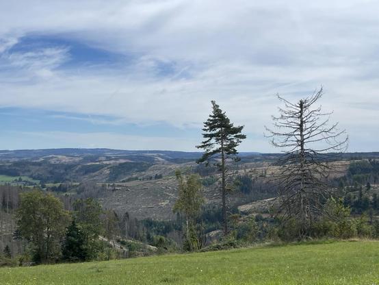 Blick auf eine bergige Landschaft mit vielen abgestorbenen Bäumen, Holzstapeln, einem Turm auf dem gegenüberliegenden Bergkamm und einem einzelnen Windrad (es dreht sich, sag ich euch!)
