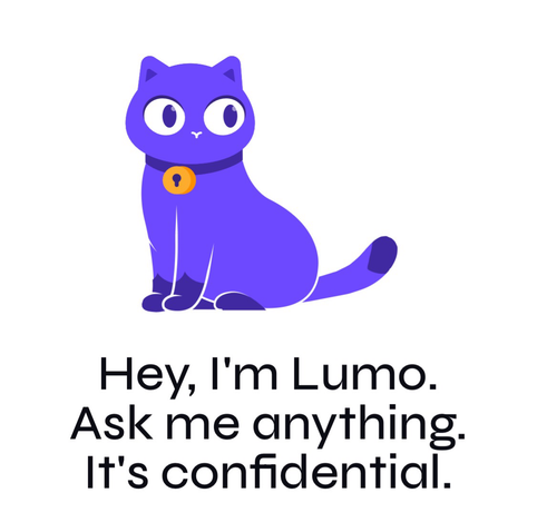 A purple cat - the Lumo logo - with the text: "Hey, I'm Lumo. Ask me anything. It's confidential."
