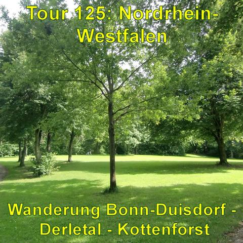 Eine weite, grüne Wiese in einem Stadtpark, gesäumt von mehreren Bäumen mit dichtem Laubwerk. Die Bäume werfen Schatten auf den Rasen, und ein Fußweg ist am linken Rand des Bildes zu erkennen. Der Himmel ist hell und teilweise von Wolken bedeckt, und das Licht scheint durch das Blätterdach, was zu einem Spiel aus Licht und Schatten auf dem Gras führt.