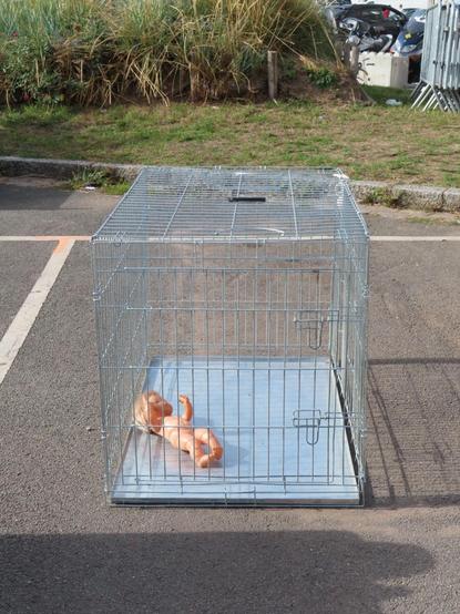 Une cage posée sur une place de parking, et dedans, allongée, une poupée nue.